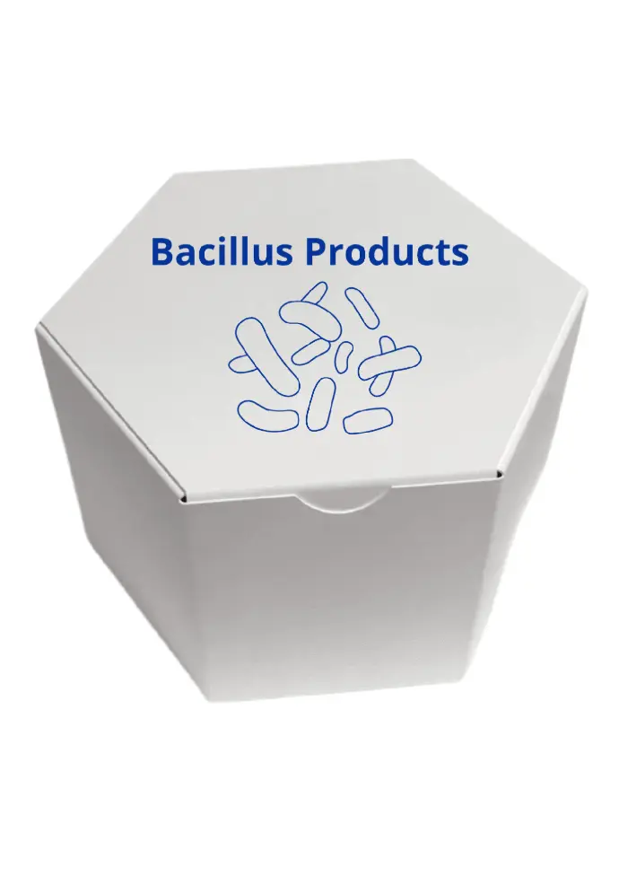 Lactobacillus gasseri