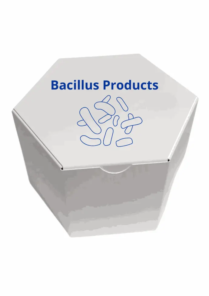 Gramicidin from Bacillus aneurinolyticus (Bacillus brevis)