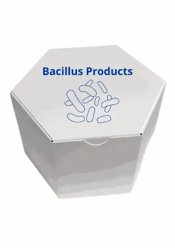 [BAC-500 mg-278] Gramicidin from Bacillus aneurinolyticus (Bacillus brevis)