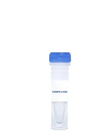 [CAS-204] LGN CRISPR/Cas9 KO Plasmid (m)