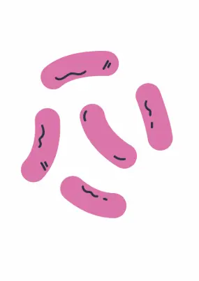 Pierce’s Disease (PD/GWSS) Board